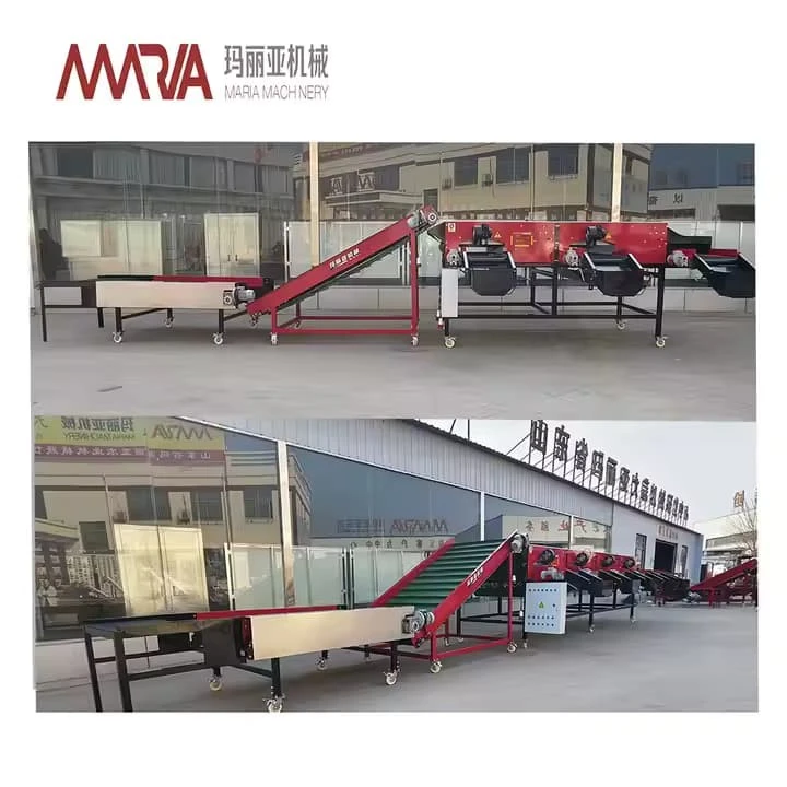 Factory Price Automatic Fruit Vegetable Sorting Apple Potato Tomato Orange Avocado Onion Grading Washing Size Weighing Machine