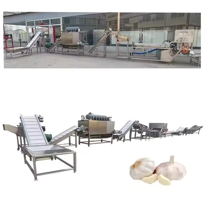 Garlic Powder Production Line Garlic Processing Plant 100-1000 Kg Garlic Processing Machine