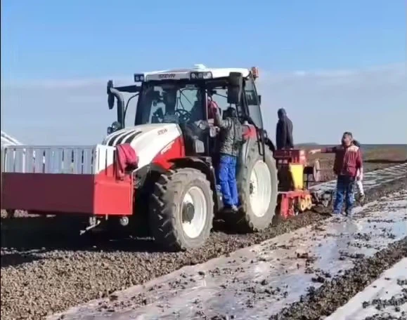 Multi Function Hand Push Potato Onion Garlic Planter Machine 7 Row Seed Planter With Spare Parts For Farm Planter